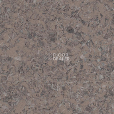 Линолеум Tarkett iq Megalit GRAPHITE BROWN 0621 фото 1 | FLOORDEALER